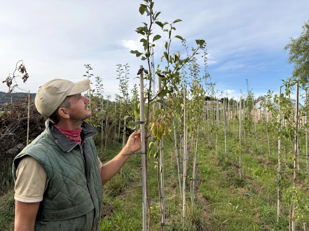 Bio gut oberwald alexander am apfelbaum